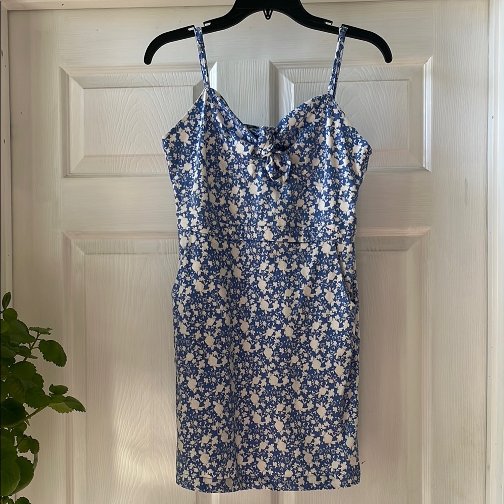 GB Floral Blue and White Dress